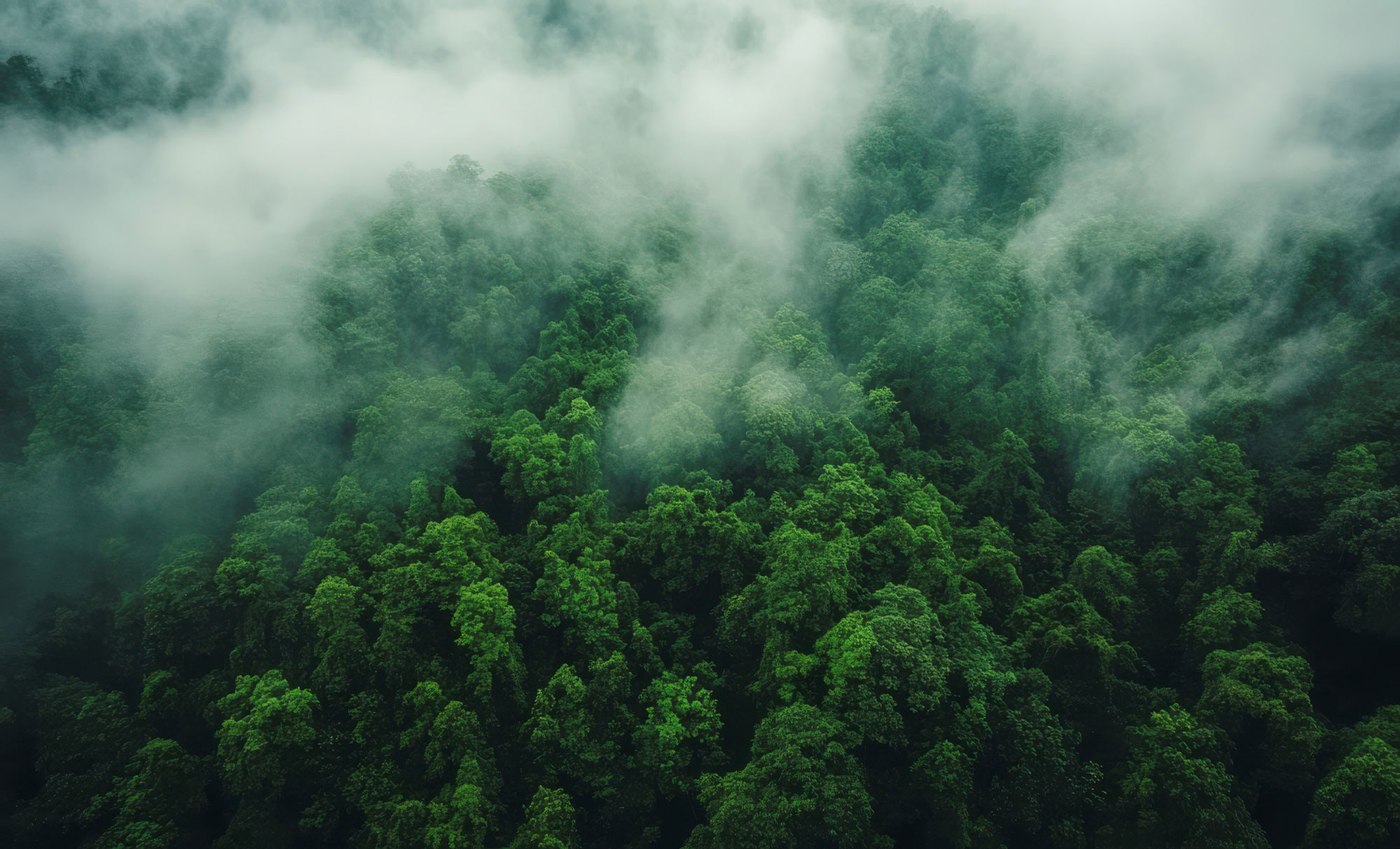 Road2ESG Workshop: Postanite stručnjak u području ESG-a